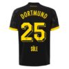 BVB Borussia Dortmund Sule 25 Auswärtstrikot 2023 24 Fußballtrikots