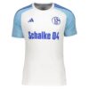 FC Schalke 04 Auswärtstrikot 2023 24 Fußballtrikots