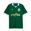 Palmeiras Heimtrikot 2024 25 Fußballtrikots